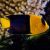 Bi-colour Angelfish