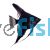 Black Angelfish