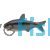 Black Stripe Tetra