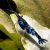Blue-Black Rili Shrimp
