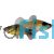 Bumble Bee Platy