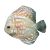 Checkerboard Discus