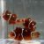 CB Clownfish Gold Dot Maroon