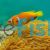Clownfish Maldives