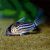 Corydoras Schwartzii