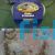 Crickets Baby 3-5mm 100 per Tub