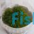 Cuba Tissue Culture HC Tub
