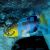 Cyp. Leptosoma Jumbo Yellowhead Blackfin