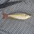 30x Rainbow Pioneer River 5-6cm