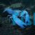 Electric Blue Yabby