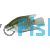 Festivum Cichlid