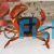 Fresh Water Crab