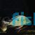 Geophagus winemilleri