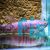 Gladiator Betta Simorum 10cm Pair 1Xm 1Xf