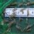 50x Freshwater Glass Shrimp 1-2cm