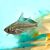Glassfish Reticulated