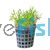 Glossostigma Pot