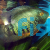 Green Severum 