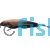 Grey Ghost Knife Fish