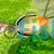 Empire Gudgeon