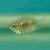 Balloon Pink Kissing Gourami (Short Body)