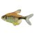 Pretty Tetra 3cm