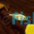 Gold Tetra