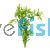 Hygrophila Sunset - Submersed - Bunch