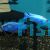 Iceberg Electric Blue