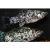 Sailfin Dalmation Molly Pair 6cm