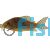 Corydoras Sterbai
