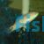 Wrasse Nebulosus