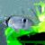 Keyhole Cichlid