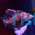 Zebra Lionfish
