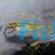 Feeder Gudgeon