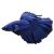 Male Blue Halfmoon Betta