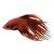 Male Orange Crowntail Betta
