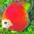 Marlboro Red Discus 7cm
