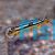 Melanochromis Auratus