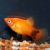 Mickey Mouse Neon Sunset Platy
