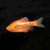 Neon Rosy Barb 5cm