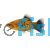Neon Tricolour - Platy 4cm