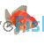 Sakura Oranda