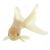 Oranda White