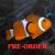 6x Orange and White Clownfish 