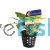 Assorted Cryptocoryne Small - Pot
