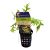 Lace Fern - Pot