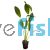 Sword Ozelot Nile Green - Pot