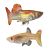Pair Phoenix Guppy