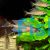 Neon Blue - Paracyprichromis Nigripinnis